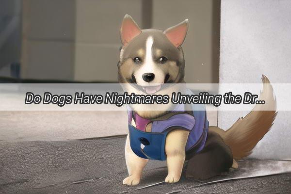 Do Dogs Have Nightmares Unveiling the Dream World of Mans Best Friend